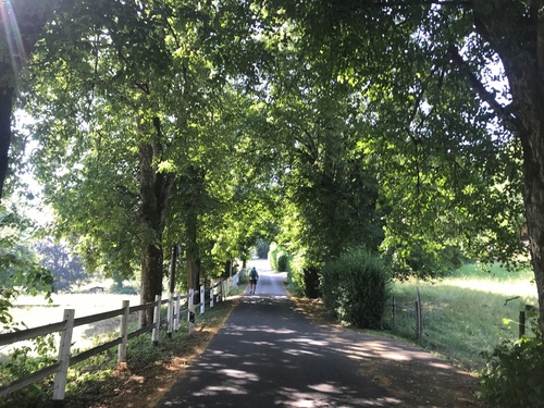 20190722瑞士湖濱旅館 (14).jpg - 2019醉飲法奧瑞