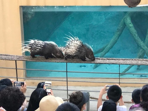 0207-6 (2).jpg - 2018清邁食旅記