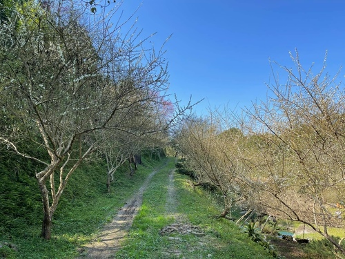 20210130 (20).jpg - 2021品酒誌