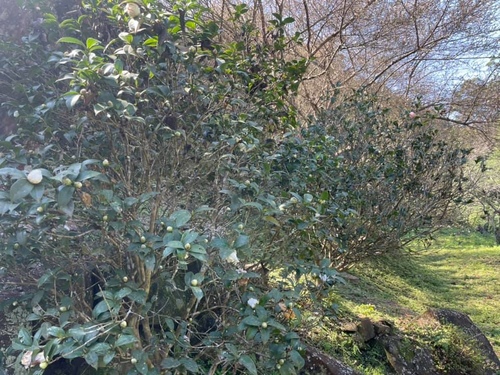 20210130 (13).jpg - 2021品酒誌