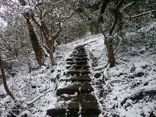 20150124雪中品飲普羅旺斯粉紅 (12).jpg - 2016年品酒誌