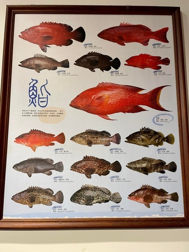 20220115 (42).jpg - 2022品酒誌