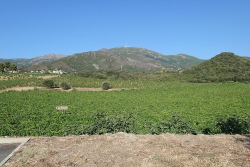 20170704CS山中酒莊 (14).jpg - 2017醉飲法義