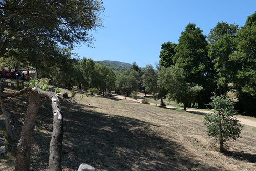 20170703阿爸凸起 (29).jpg - 2017醉飲法義