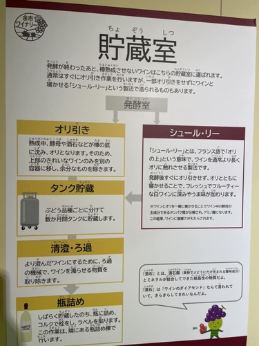 2023北海道20 (3).jpg - 2023日本旅遊