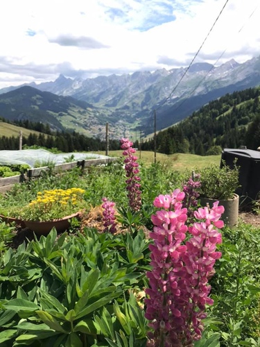 20190712起司農場午餐 (6).jpg - 2019醉飲法奧瑞