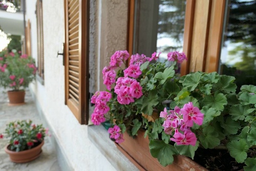 20171129 LUNA民宿晚宴 (3).jpg - 2017醉飲法義