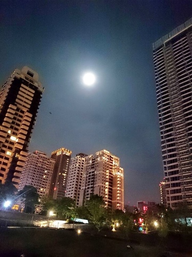 20150701u7d50u5a5au61761-2 u7d50u5a5au9999u6ab3 (15).jpg - 2015u5e74u54c1u9152u8a8c