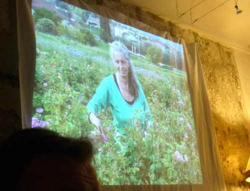 38.Grasseu62dcu8a2au8abfu9999u5e2b07.jpg - u9189u98f2u5357u6cd5