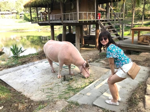 0208-4 (40).jpg - 2018清邁食旅記