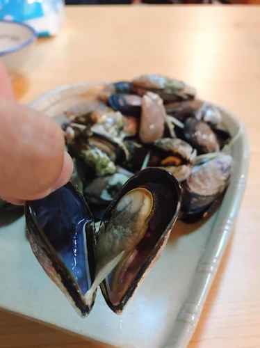 20200722忠漁原味 (2).jpg - 2020-7卡蹓馬祖