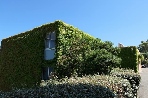 20170704 ALIVI飯店 (7).jpg - 2017醉飲法義