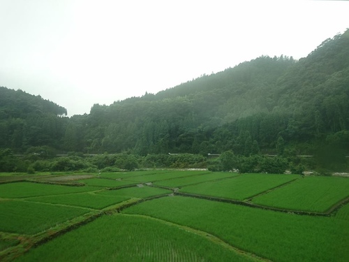 1-12 鹿兒島便當 (12).jpg - 2016慢遊九州