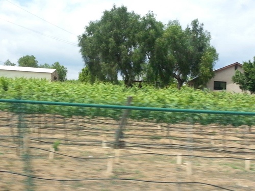 201605150203.jpg - 2016年品酒誌