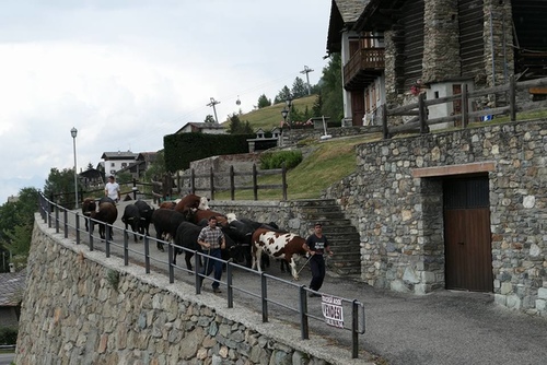 20170710Aosta酒莊 (16).jpg - 2017醉飲法義