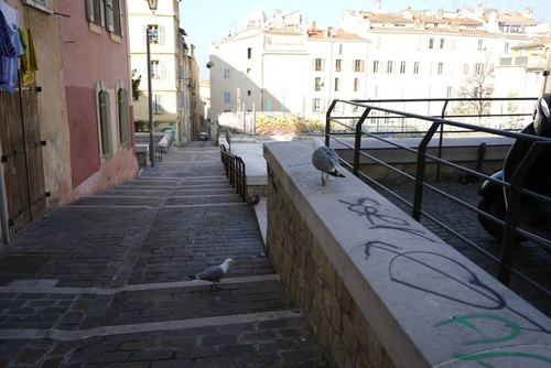 32 20150208u99acu8cfdu5065u884cu7684u4e00u5929Part113.jpg - u9189u98f2u5357u6cd5