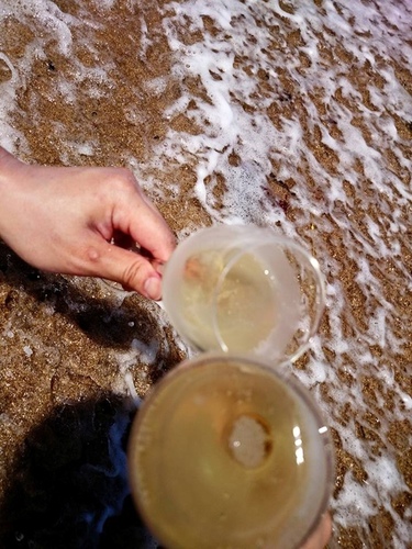 20150703u7d50u5a5au6176 u6d6au82b1u914du9999u6ab3 (20).jpg - 2015u5e74u54c1u9152u8a8c