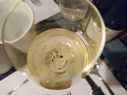 20161116洋蔥 (8).JPG - 2016年品酒誌