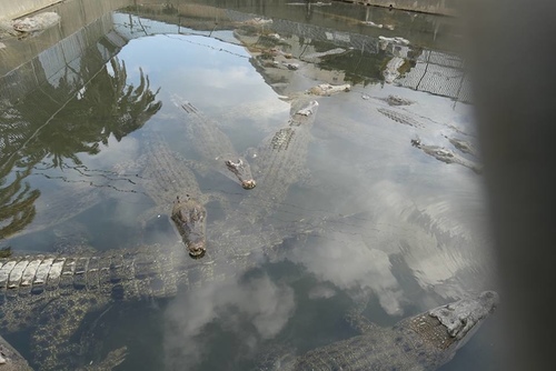 20170121地獄二 (4).jpg - 2017北九州溫泉