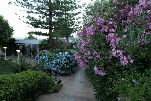 20170702 米其林推薦晚餐 (2).jpg - 2017醉飲法義