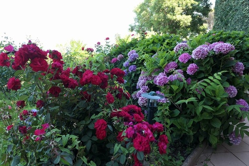 20170704 ALIVI飯店 (11).jpg - 2017醉飲法義