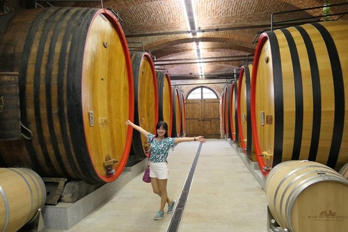 20170709 BAROLO酒莊 (8).jpg - 2017醉飲法義