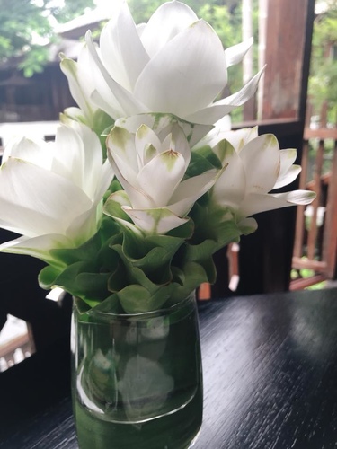 20180708-3 (32).jpg - 2018泰北放暑假