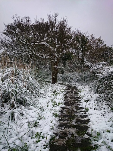 20150124雪中品飲普羅旺斯粉紅 (10).jpg - 2016年品酒誌