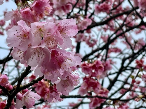 20220124 (15).jpg - 2022品酒誌