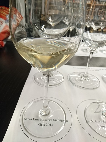 20160326梧桐沙龍智利品酒會 (4).jpg - 2016年品酒誌