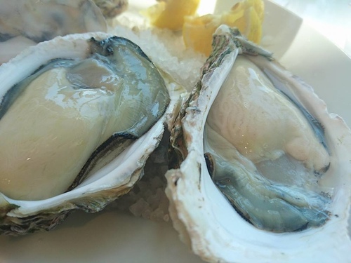 1-40博多生蠔吧 (6).jpg - 2016慢遊九州