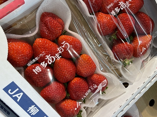 2023 北海道 22 (15).jpg - 2023日本旅遊