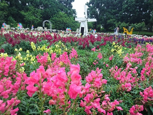 20160614清境品酒誌 (10).jpg - 2016年品酒誌