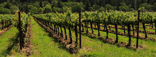 尋俠堂金丘白酒活動 (6).jpg - 2022品酒誌