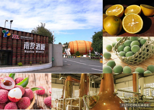 20220720 (1).jpg - 2022品酒誌