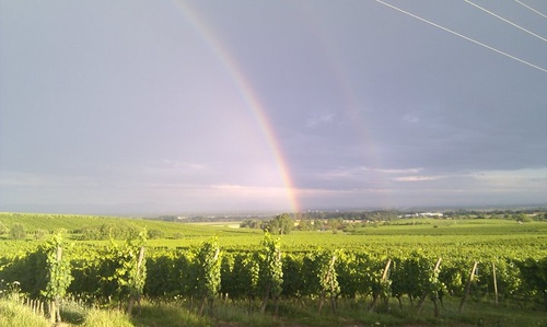 20221203 (31).jpg - 2022品酒誌