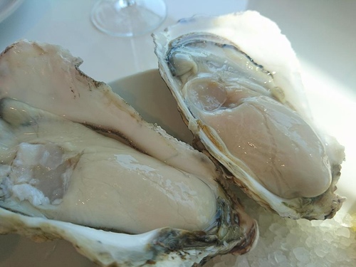 1-40博多生蠔吧 (7).jpg - 2016慢遊九州