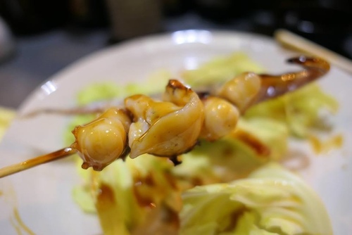 20170120野球鳥 (23).jpg - 2017北九州溫泉