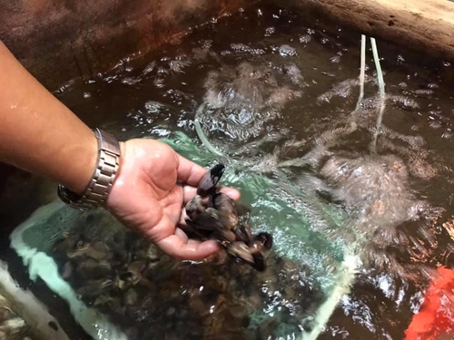 20200722忠漁原味 (6).jpg - 2020-7卡蹓馬祖