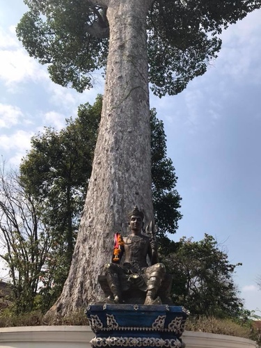 0204-2 (18).jpg - 2018清邁食旅記