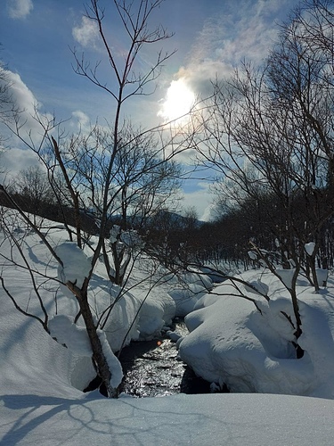 2023北海道 12 (9).jpg - 2023日本旅遊