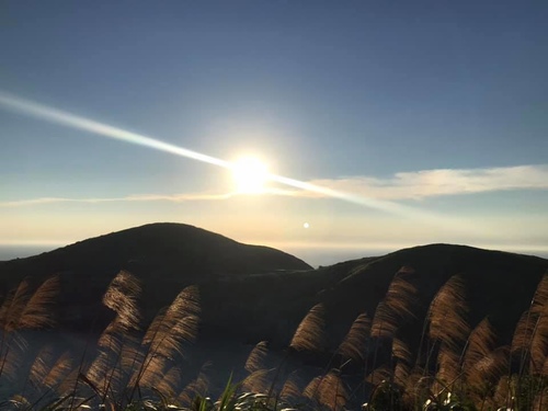 20200721靜伏鱷魚 (8).jpg - 2020-7卡蹓馬祖