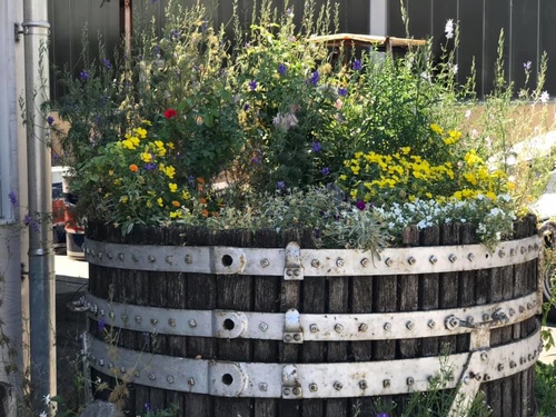 20190719瑞士酒莊1 (30).jpg - 2019醉飲法奧瑞