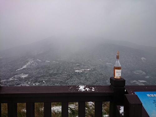 20150124雪中品飲普羅旺斯粉紅 (15).jpg - 2016年品酒誌