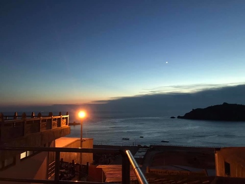 20200721靜伏鱷魚 (9).jpg - 2020-7卡蹓馬祖