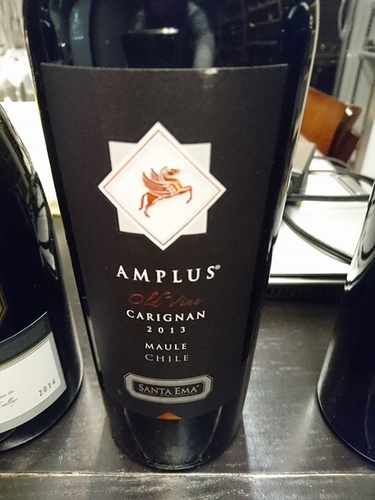 20160326梧桐沙龍智利品酒會 (18).jpg - 2016年品酒誌