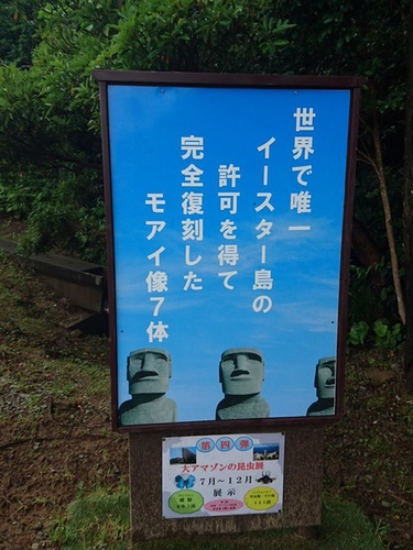 4-5宮崎鹿兒島 (47).jpg - 2016慢遊九州