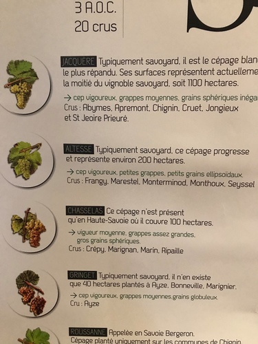 20190712安錫品酒 (38).jpg - 2019醉飲法奧瑞