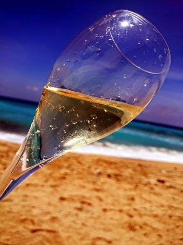 20150703u7d50u5a5au6176 u6d6au82b1u914du9999u6ab3 (13).jpg - 2015u5e74u54c1u9152u8a8c