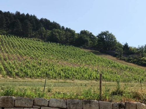 20190724Corden (11).jpg - 2019醉飲法奧瑞